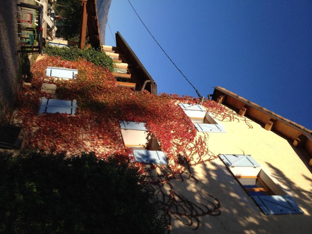 로크포르레핀 Le Mas Shabanou B&B 외부 사진